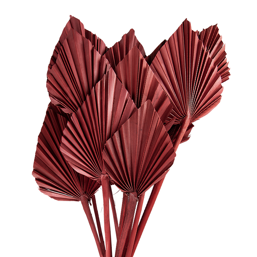 5DF0027_01.jpg