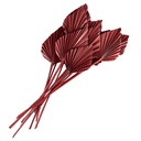 5DF0027_02.jpg