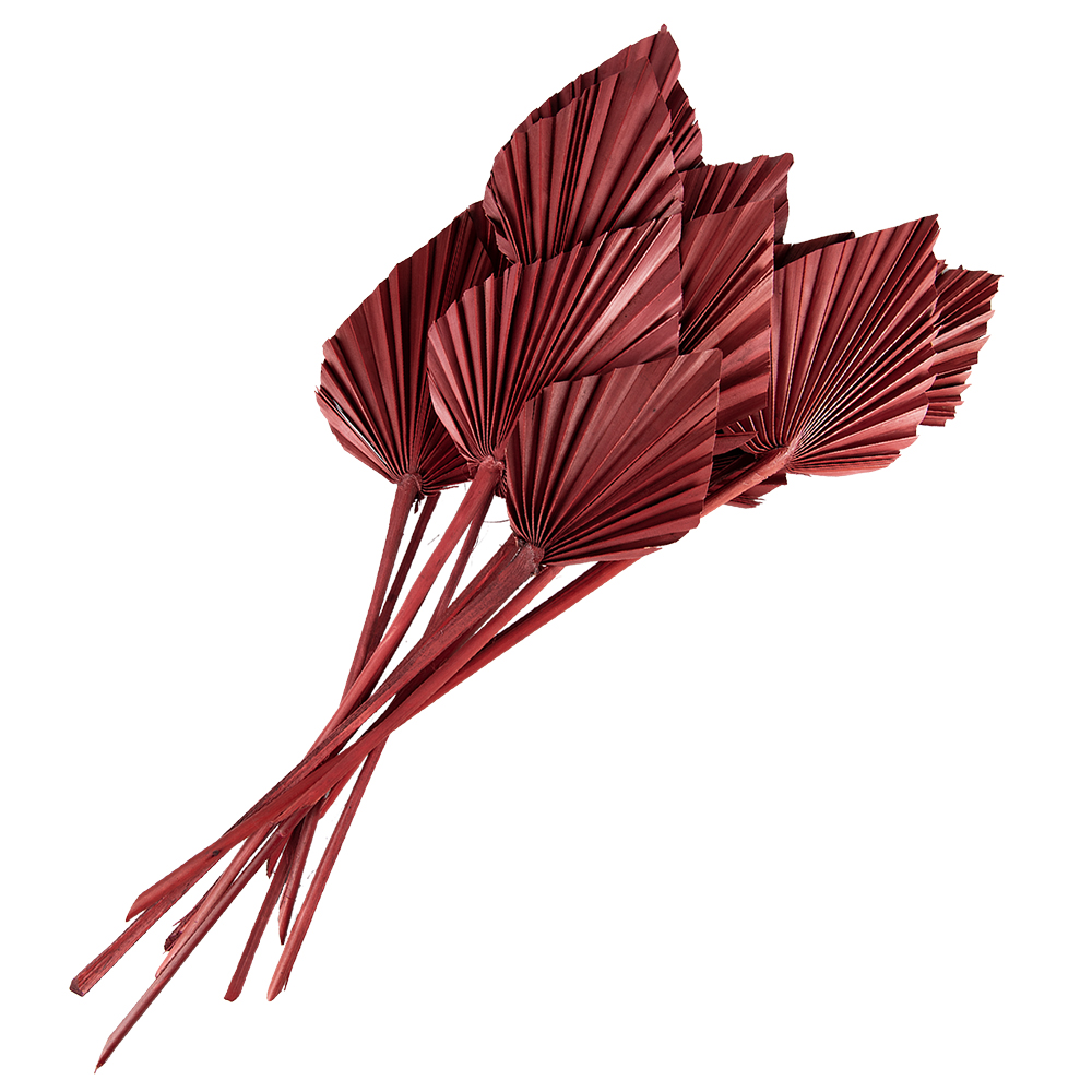 5DF0027_02.jpg
