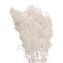 5DF0043_01.jpg
