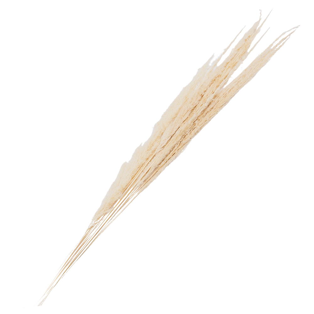 5DF0021_02.jpg