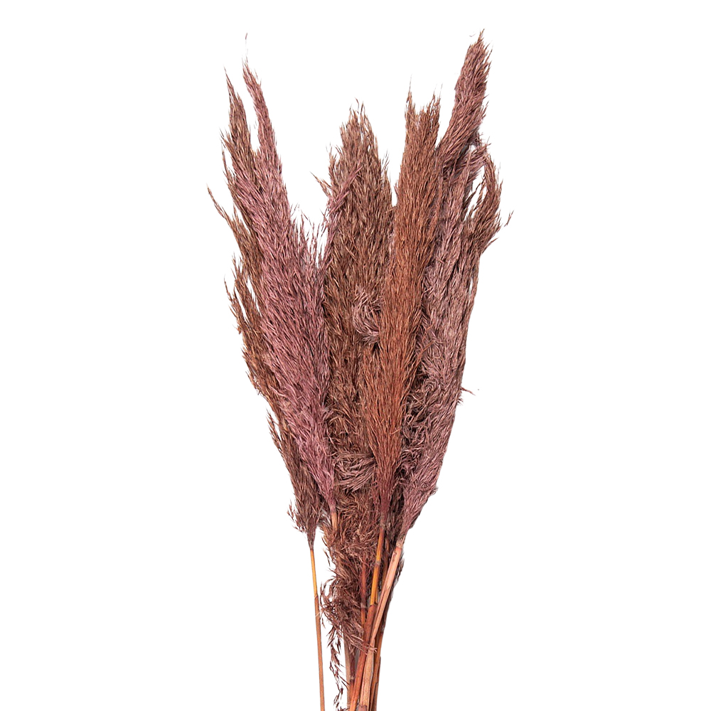 5DF0024_01.jpg
