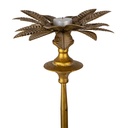 6Y4477_03.jpg