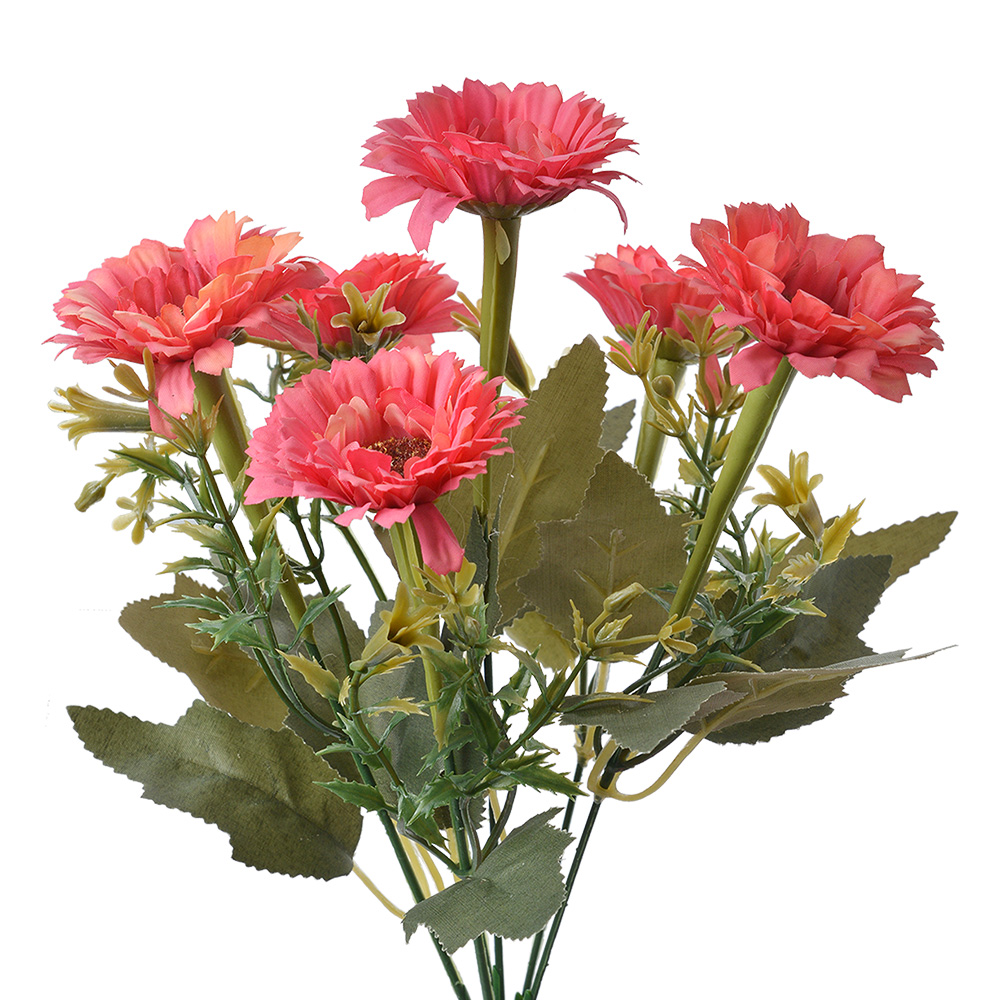 6PL0246_01.jpg