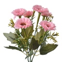6PL0247_01.jpg