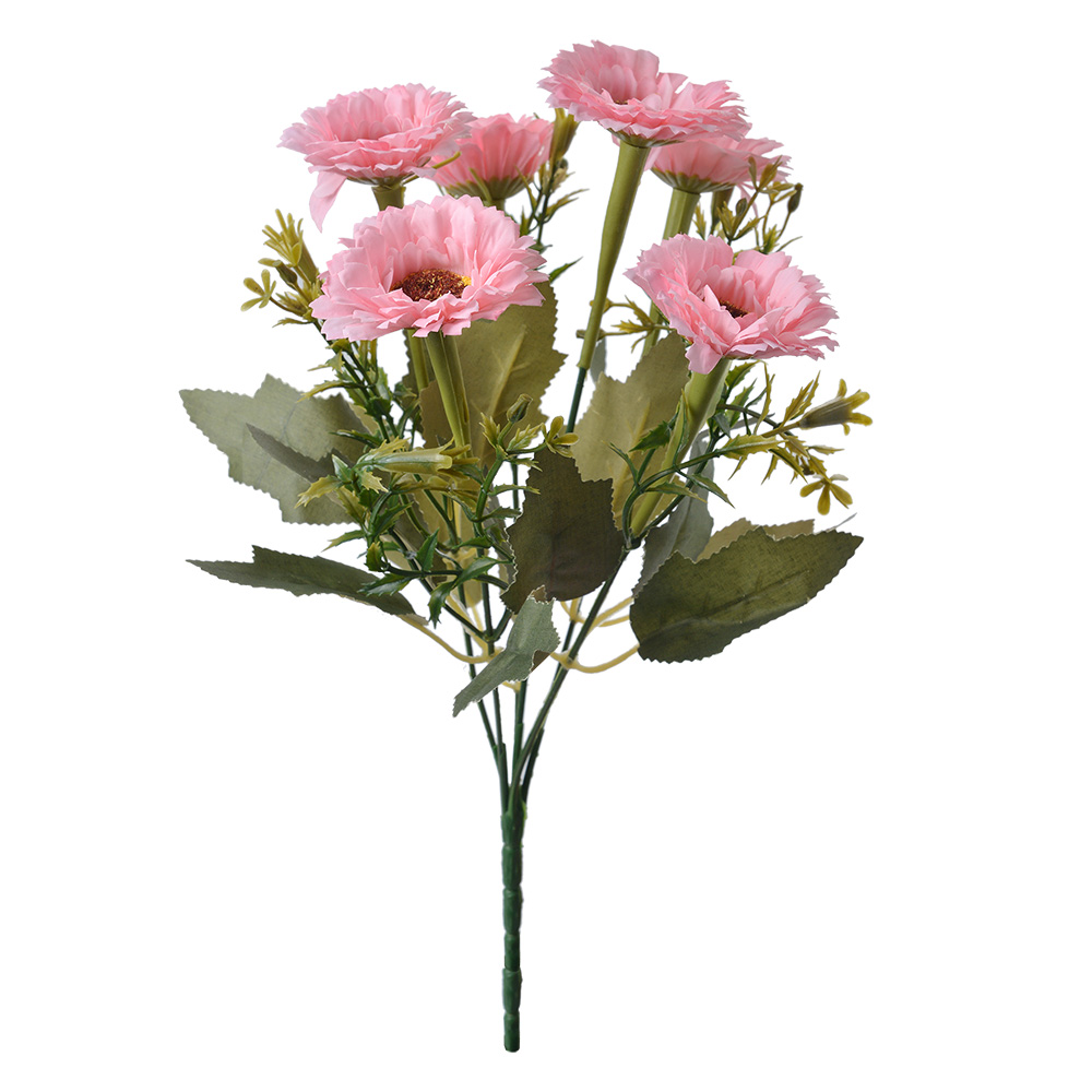 6PL0247_02.jpg