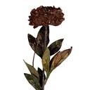6PL0405BU_01.jpg
