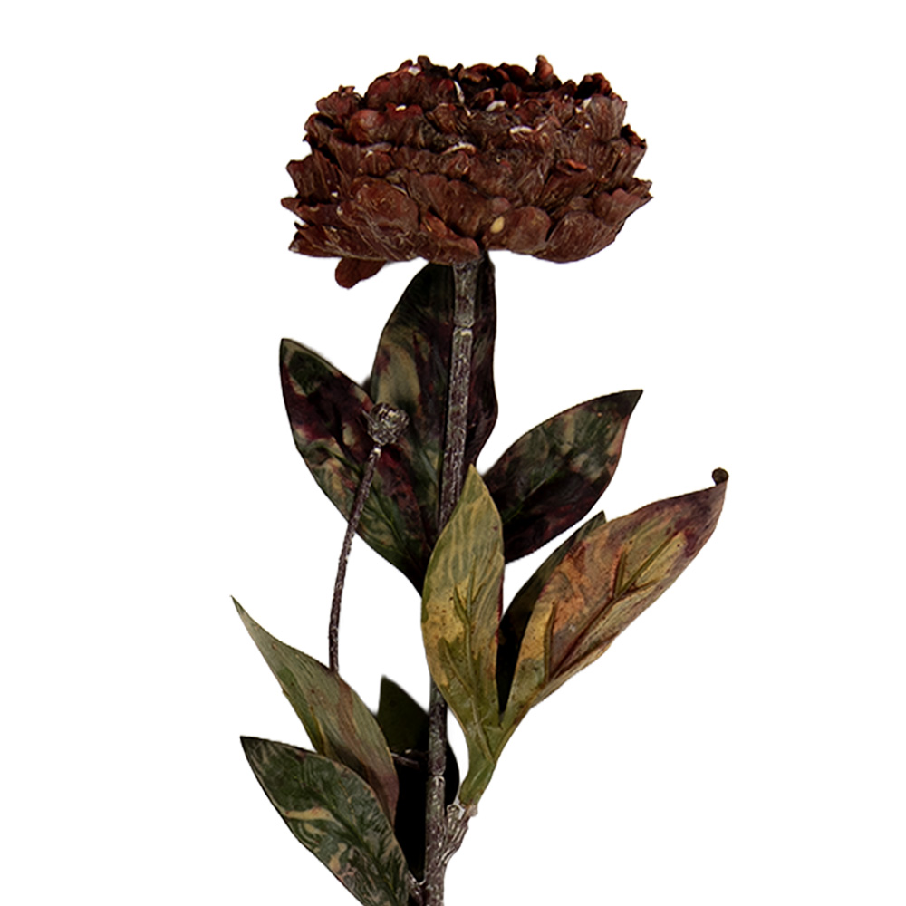 6PL0405BU_01.jpg