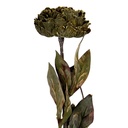 6PL0405CH_01.jpg