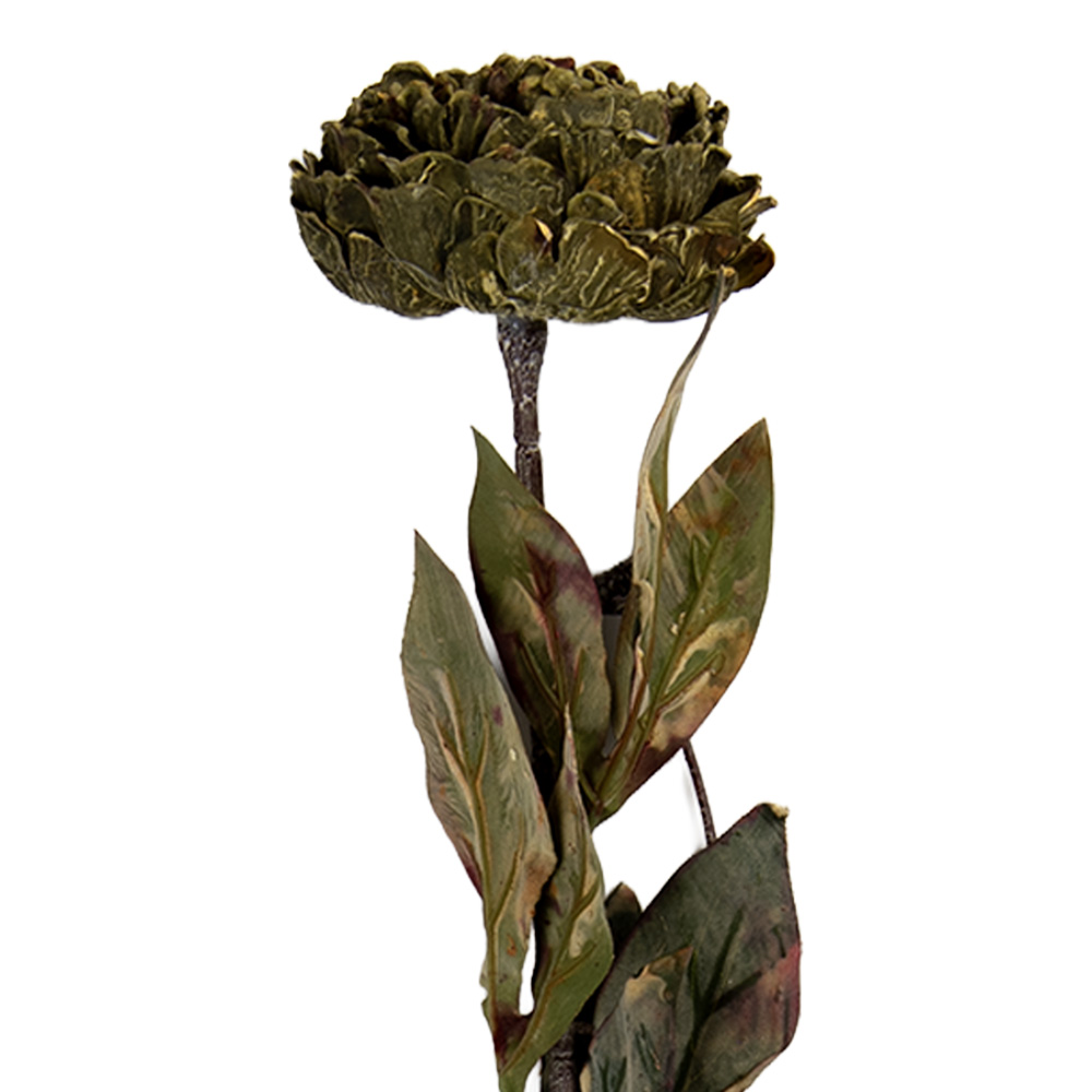 6PL0405CH_01.jpg