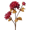 6PL0387R_01.jpg