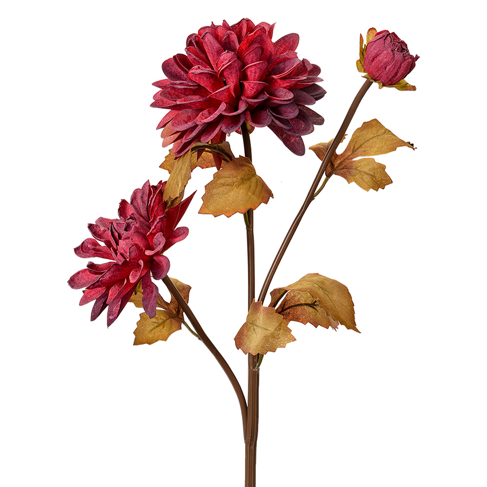 6PL0387R_01.jpg