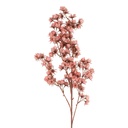 5PL0201DP_01.jpg