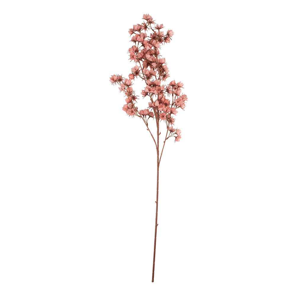 5PL0201DP_02.jpg