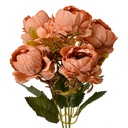 6PL0381O_01.jpg