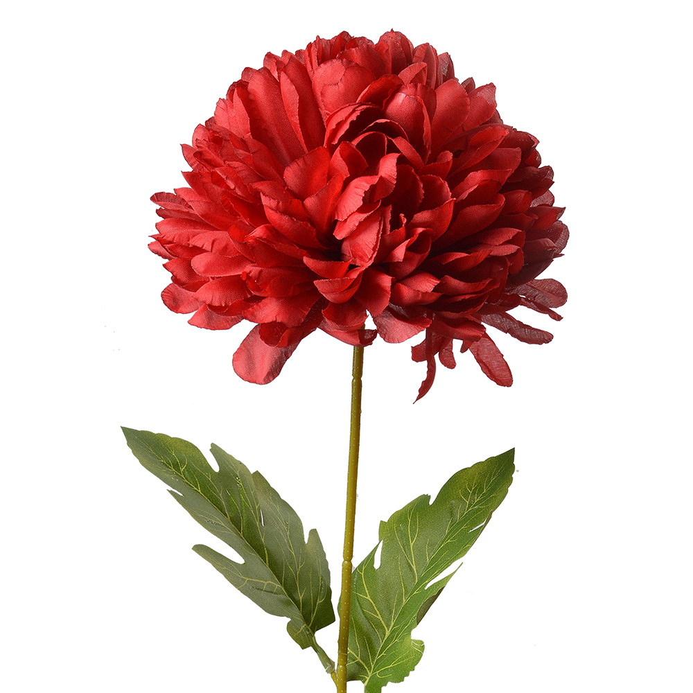 5PL0133R_01.jpg