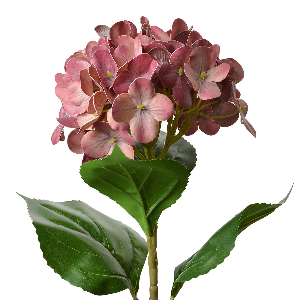5PL0137DP_01.jpg