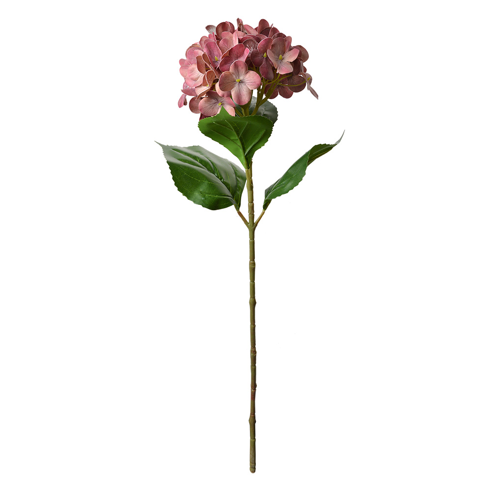 5PL0137DP_02.jpg