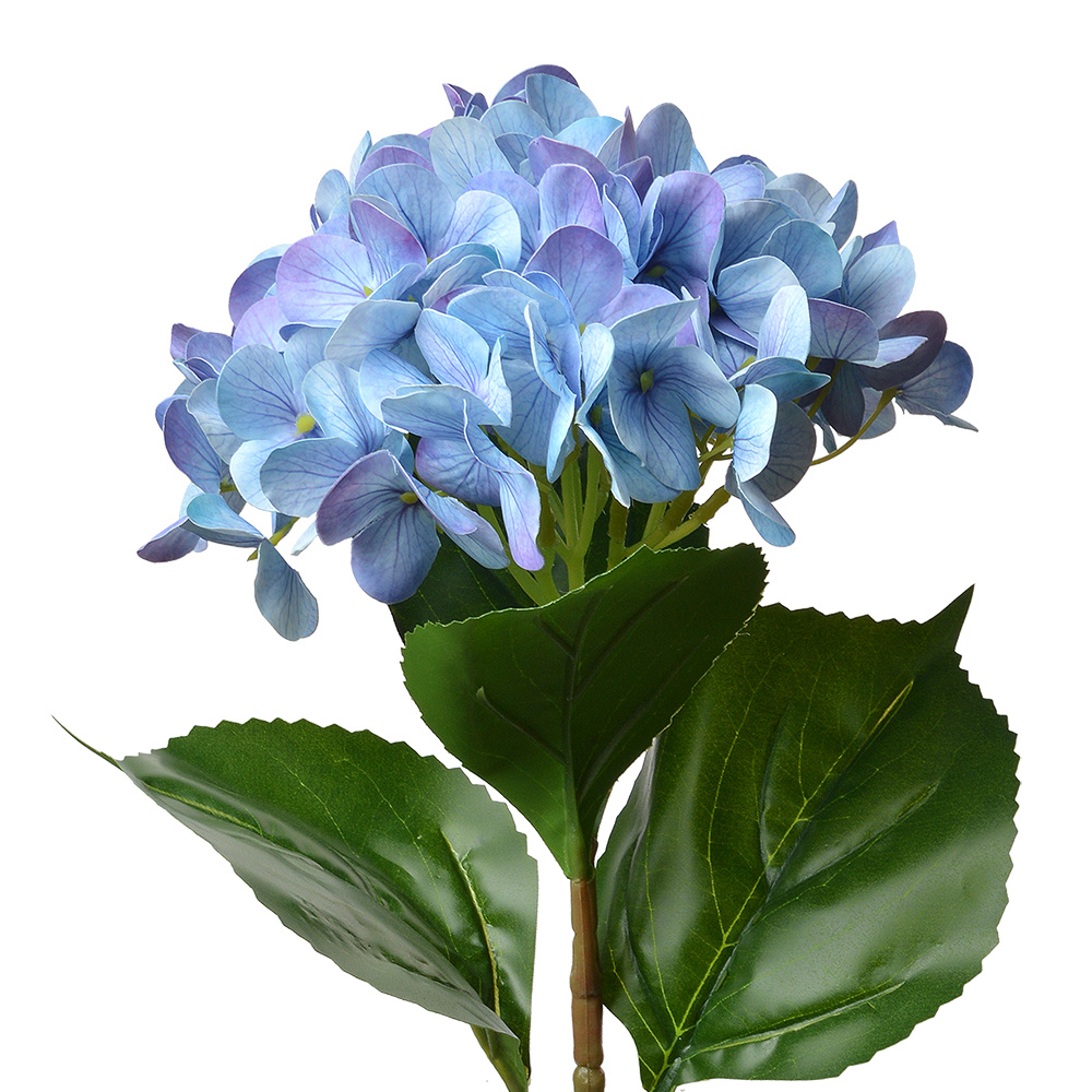 5PL0137BL_01.jpg