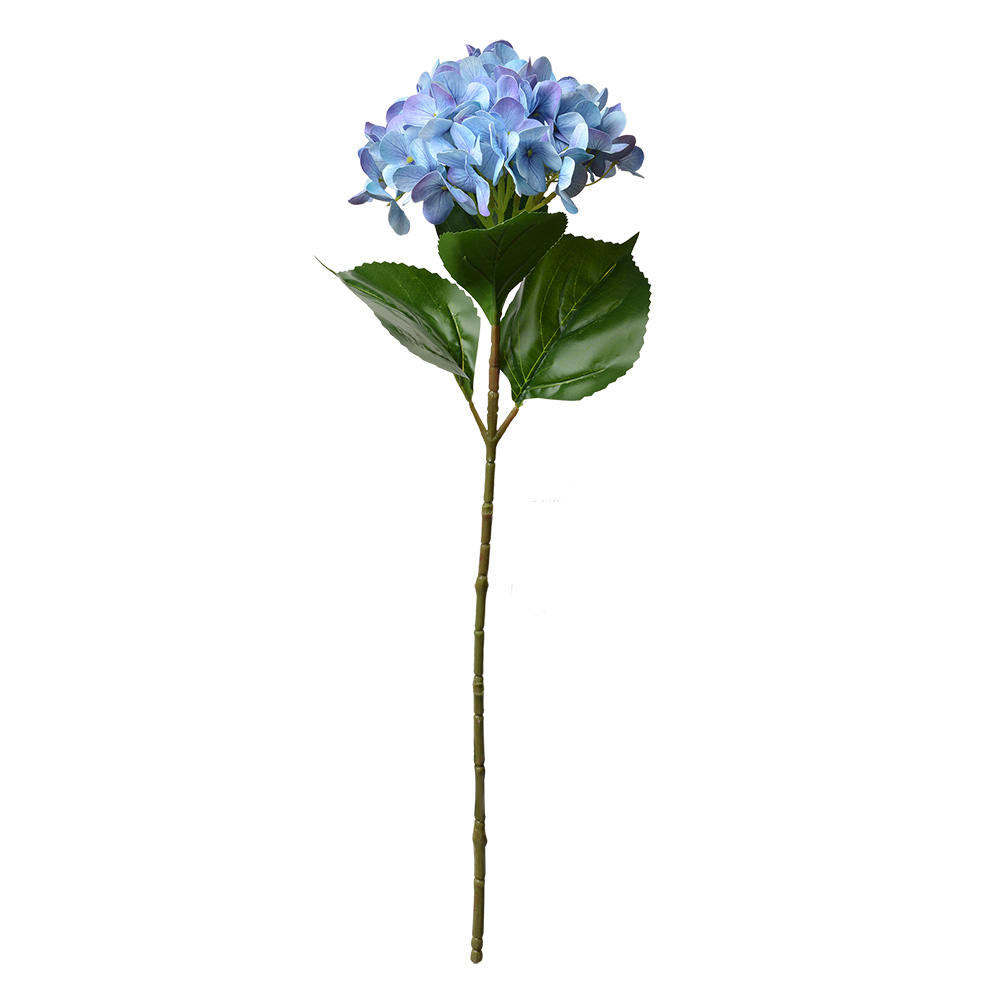 5PL0137BL_02.jpg