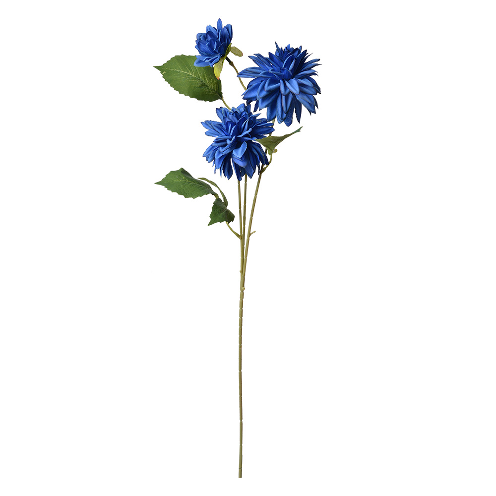 5PL0130BL_02.jpg