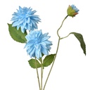 5PL0130LBL_01.jpg