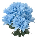 6PL0377BL_01.jpg