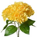6PL0347Y_01.jpg
