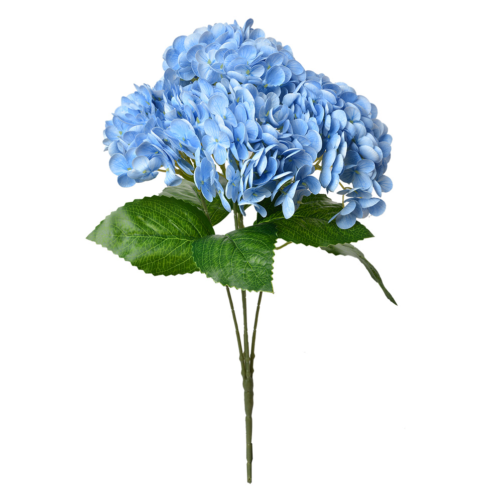 6PL0347BL_02.jpg