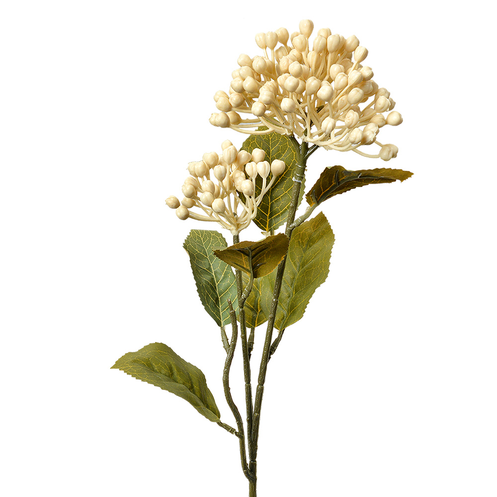 6PL0386W_01.jpg
