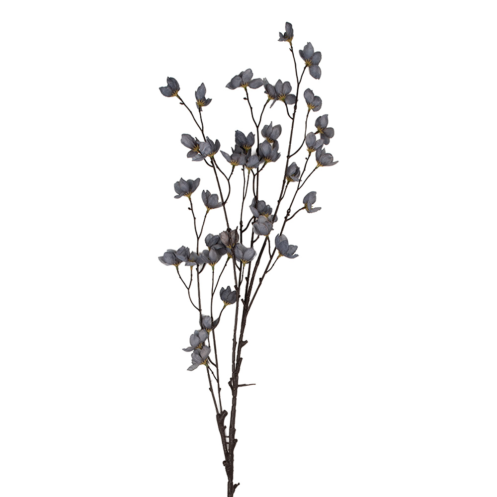 5PL0202BL_01.jpg