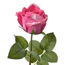 6PL0274_01.jpg