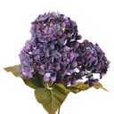 6PL0304_01.jpg