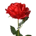 5PL0138R_01.jpg