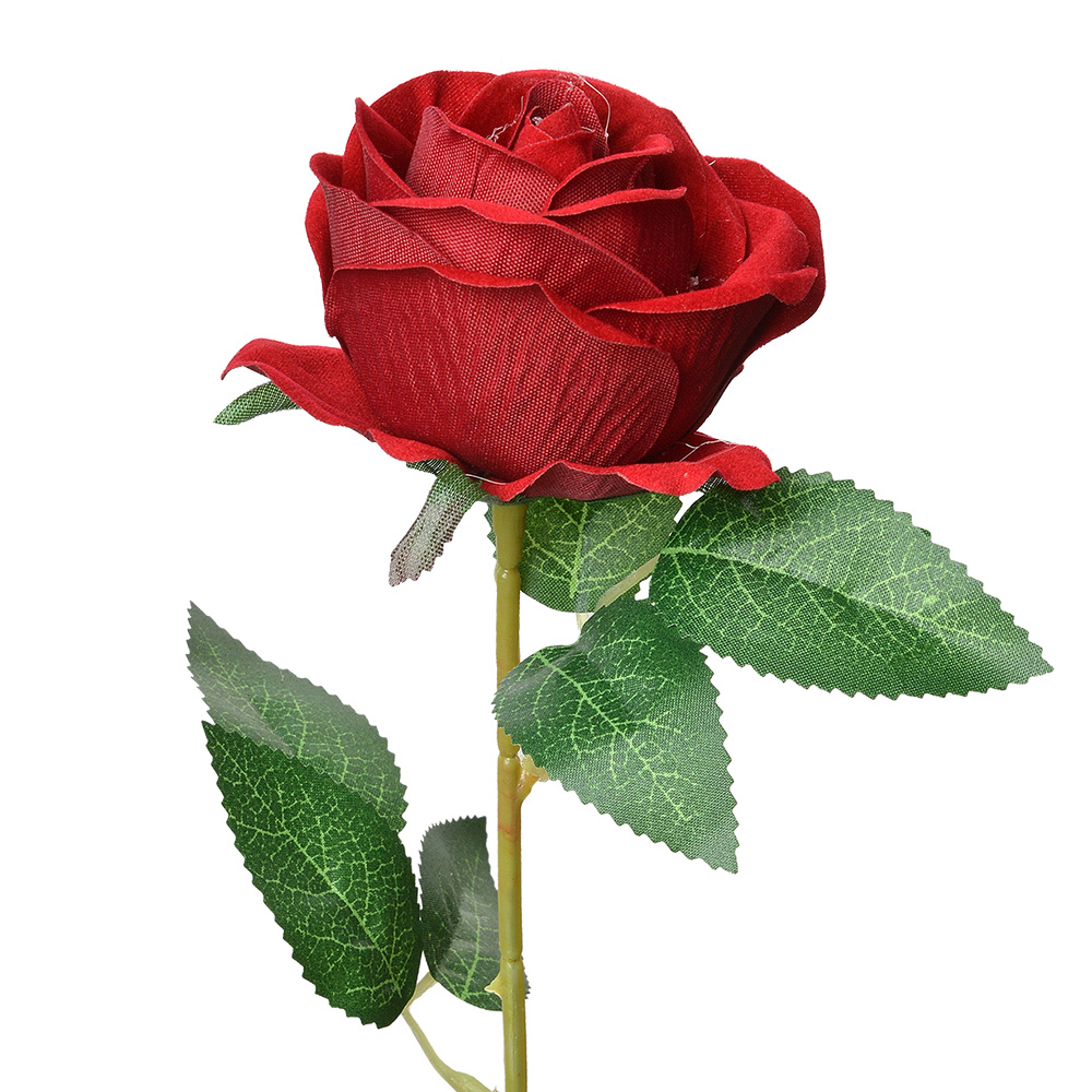 6PL0359BU_01.jpg