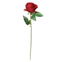 6PL0359BU_02.jpg