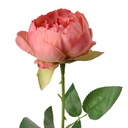 6PL0366DP_01.jpg