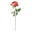6PL0366DP_02.jpg