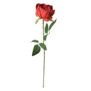 6PL0366R_02.jpg