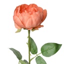 6PL0366O_01.jpg