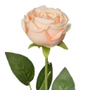 6PL0369O_01.jpg