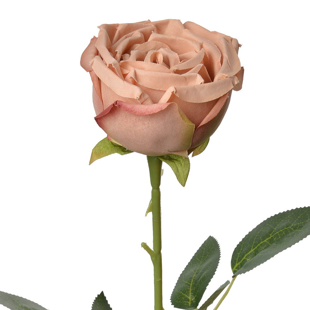 6PL0369CH_01.jpg
