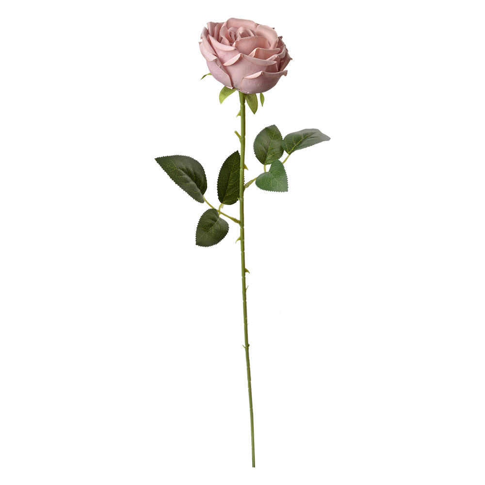 6PL0369A_02.jpg