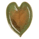 6CE2154_01.jpg