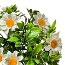 6PL0324XS_02.jpg
