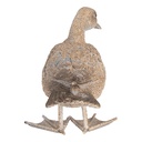 6PR5477_03.jpg