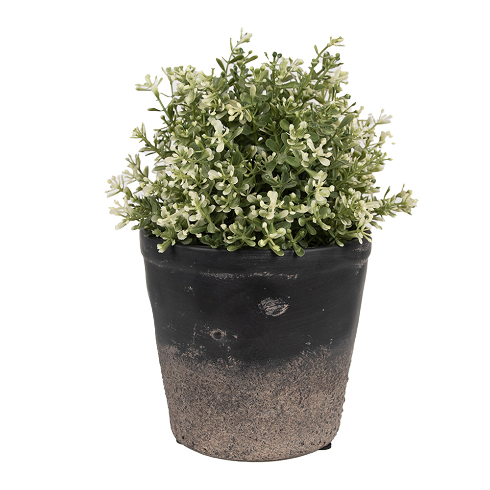 6CE1719M_02.jpg