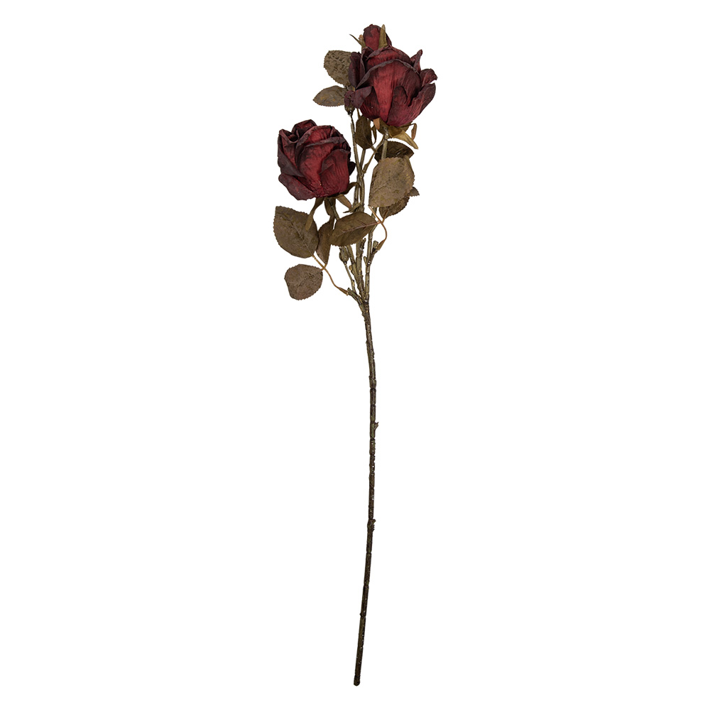 5PL0241BU_02.jpg