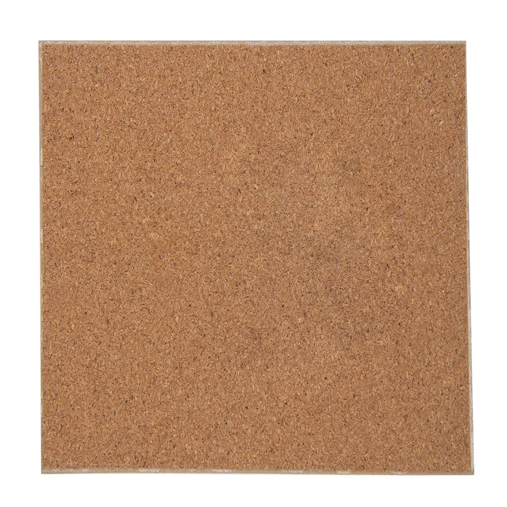 6CE2053_02.jpg