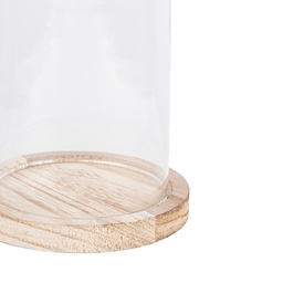6GL2168_02.jpg